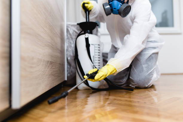 Best Termite Control Services  in Roseau, MN