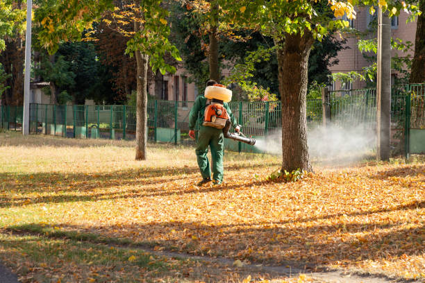 Best Rat Extermination Near Me  in Roseau, MN