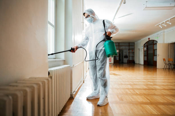 Best Insect Control  in Roseau, MN