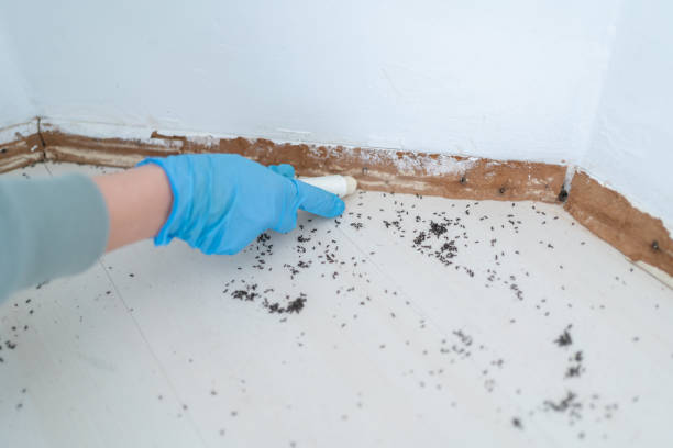 Best Commercial Pest Control Services  in Roseau, MN