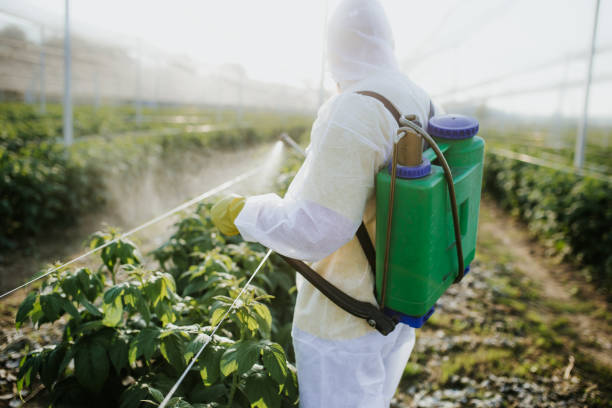 Best Best Pest Control Companies  in Roseau, MN